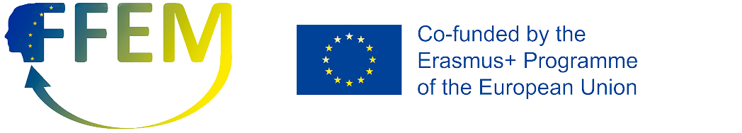 FFEM